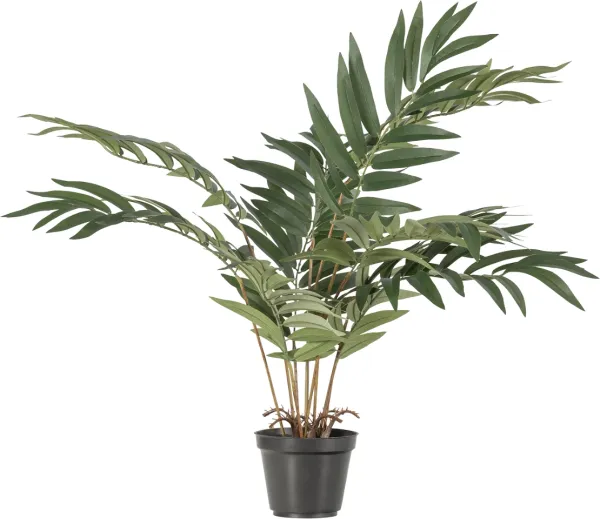 Kwai, Tekokasvi, vihreä, H68x50x51 cm