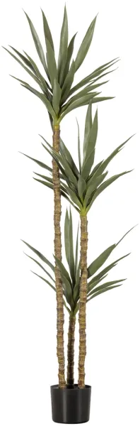 Yucca, Tekokasvi, vihreä, H155x70x70 cm
